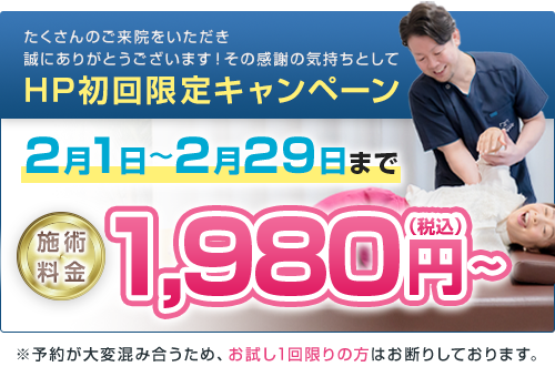 HP初回限定キャンペーン：1,980円(税込)～